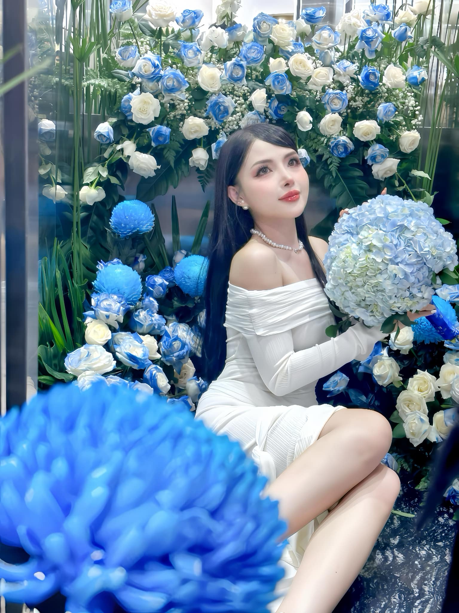 Nguyễn đặng việt trinh 6